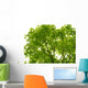 Tree Canopy Wall Mural
