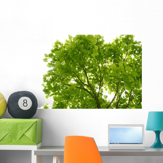 Tree Canopy Wall Mural