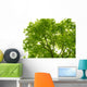 Tree Canopy Wall Mural