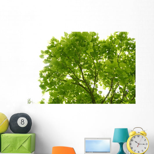 Tree Canopy Wall Mural