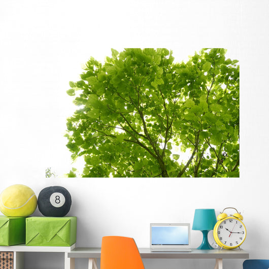 Tree Canopy Wall Mural