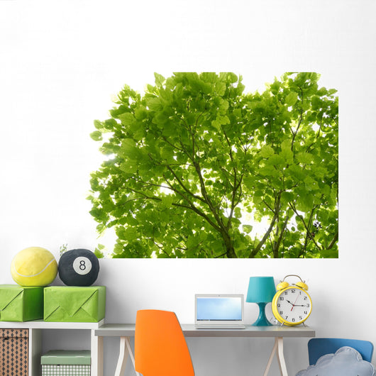 Tree Canopy Wall Mural