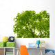 Tree Canopy Wall Mural