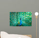 Portrait Peacock with Feathers