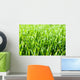 Grass Wall Mural