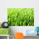 Grass Wall Mural
