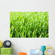 Grass Wall Mural