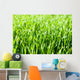 Grass Wall Mural