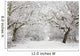 Woodland snow scene Wall Mural