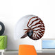 Complete Nautilus Shell Wall Decal