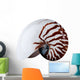Complete Nautilus Shell Wall Decal