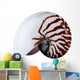 Complete Nautilus Shell Wall Decal