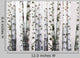 Natural Birch Wallpaper