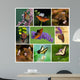 Colorful Butterfly Collage Wall Mural