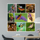 Colorful Butterfly Collage Wall Mural