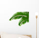 Palm leaves on white background. Vector. Wall Decal