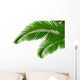 Palm leaves on white background. Vector. Wall Decal