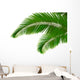 Palm leaves on white background. Vector. Wall Decal