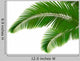 Palm leaves on white background. Vector. Wall Decal
