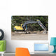 Steam Shovel