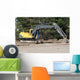 Steam Shovel