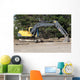 Steam Shovel