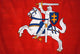 knight flag Wall Mural