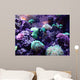 Coral Wall Mural