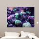 Coral Wall Mural