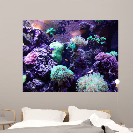 Coral Wall Mural