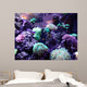 Coral Wall Mural