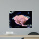 Coral Wall Mural