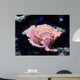 Coral Wall Mural