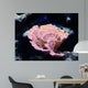 Coral Wall Mural