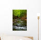 Mountain River