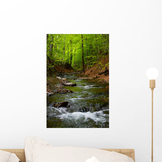 Mountain River