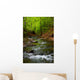 Mountain River