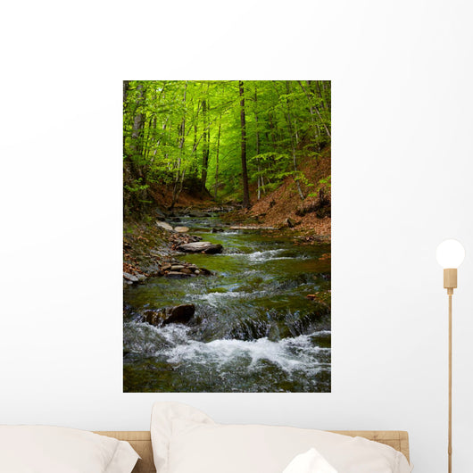 Mountain River