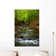 Mountain River