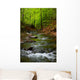 Mountain River
