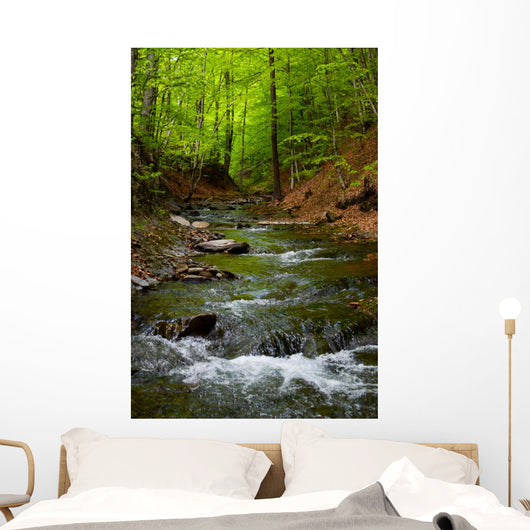 Mountain River