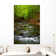 Mountain River