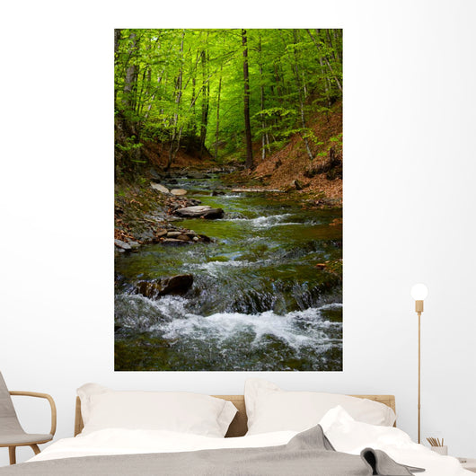 Mountain River