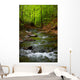 Mountain River