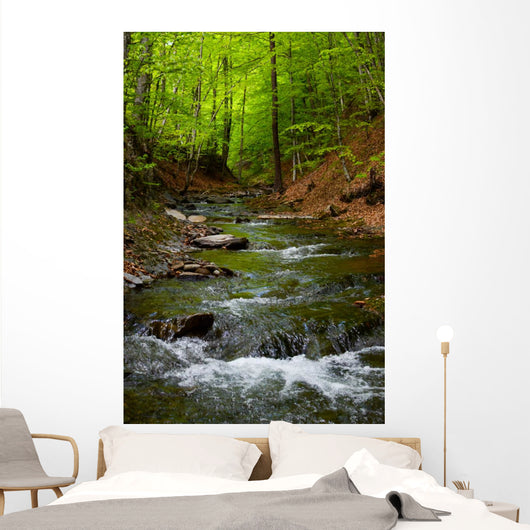 Mountain River