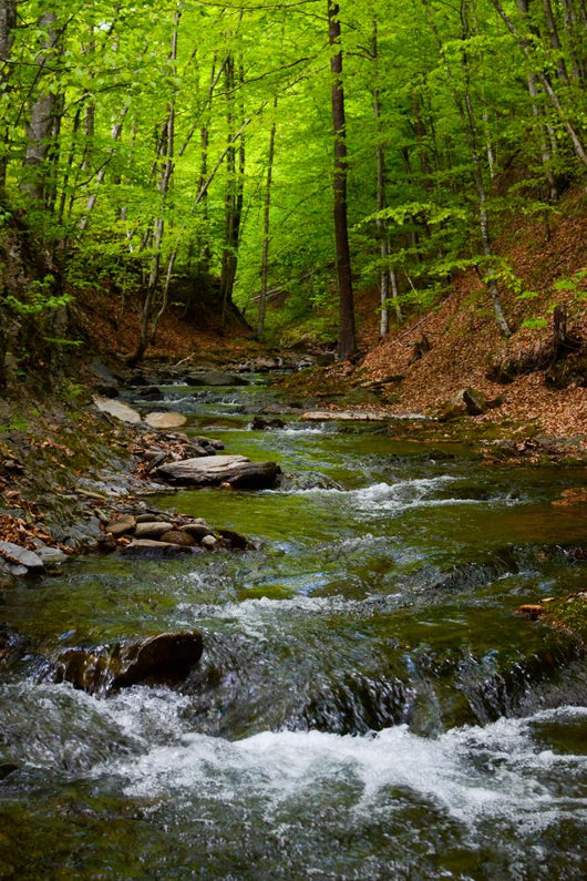 Mountain River