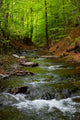 Mountain River