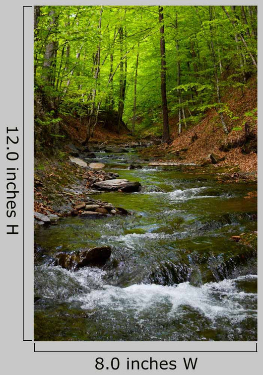 Mountain River