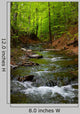 Mountain River