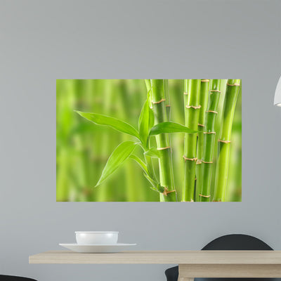 Bamboo shown on a wall